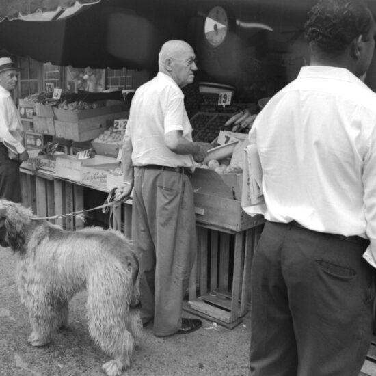 An elderly man with an Afghan hound on a lead buys groceries at a street stall in New York, Manhattan, circa 1965